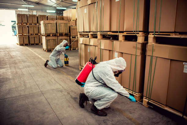Flea Control Services in Sparta, MI