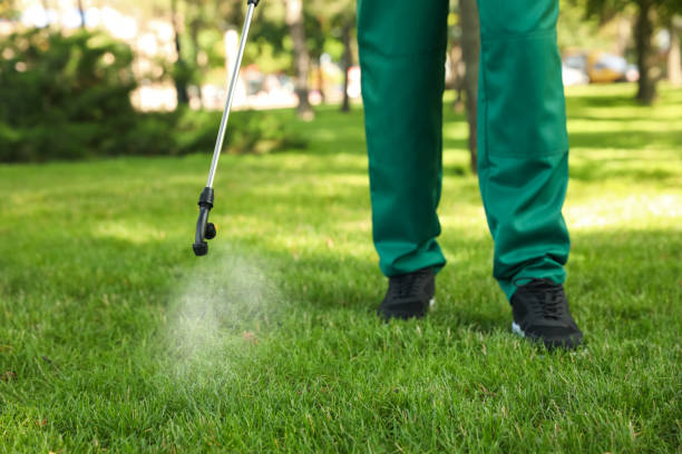 Best Pest Inspection Near Me  in Sparta, MI