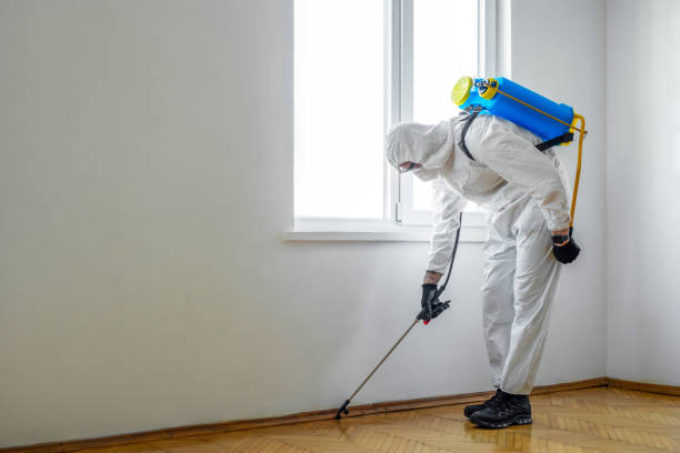 Best Best Pest Control Companies  in Sparta, MI