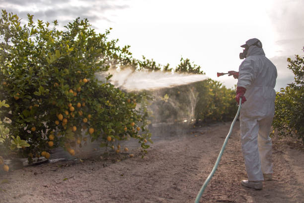 Best Local Pest Control Services  in Sparta, MI