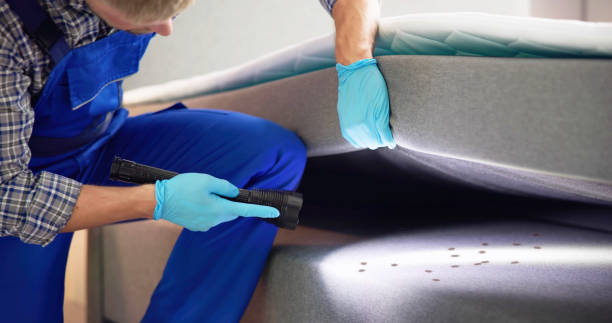 Best Termite Control Services  in Sparta, MI