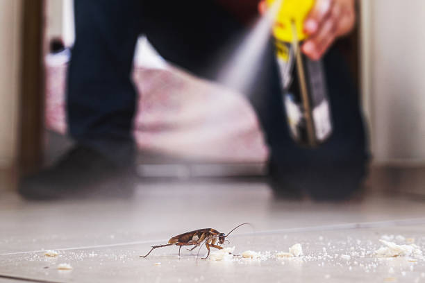 Best Wasp Removal Services  in Sparta, MI