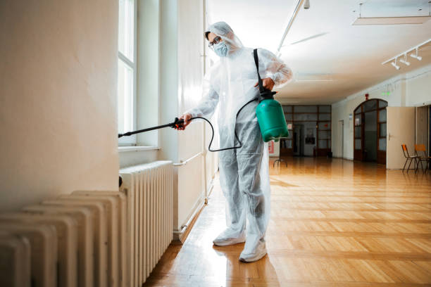 Best Termite Control Services  in Sparta, MI