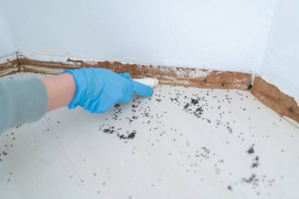 Best Exterminator Services  in Sparta, MI