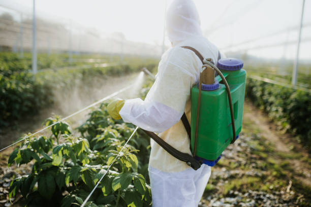 Reliable Sparta, MI Pest Control Solutions